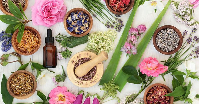 Naturopathie et Coaching de Vie
